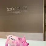 Alda San Carlos